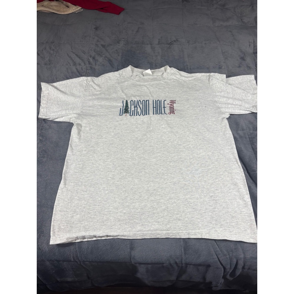 Vintage Desert West Jackson Hole Wyoming T-Shirt Grey Single Stitch 90s Large